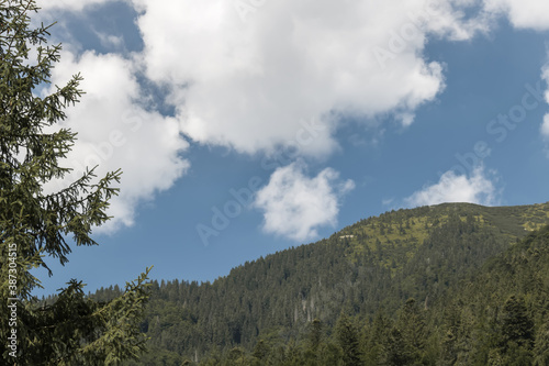 White clouds over wooded hills. Landscape High Mountain Range.