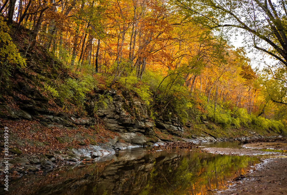 Autumn view or rocky ravine lined with trees backlit by setting sun; stream at the bottom of the ravine Autumn view or rocky ravine lined with trees backlit by setting sun; stream at the bottom of the ravine