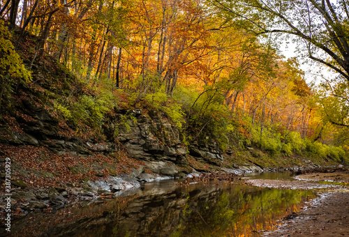 Autumn view or rocky ravine lined with trees backlit by setting sun; stream at the bottom of the ravine