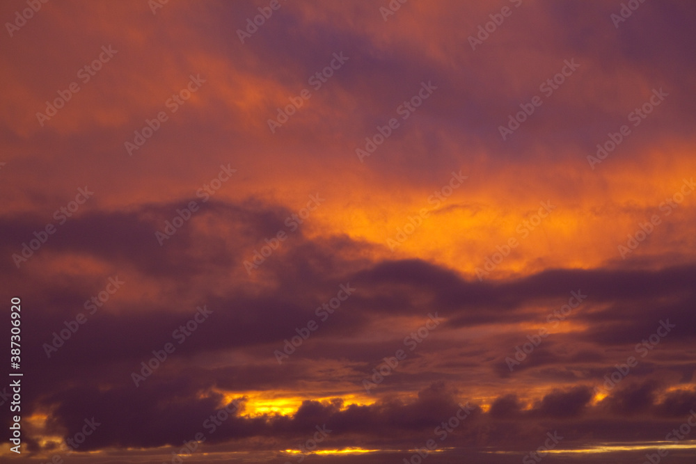 Fototapeta premium 夕焼け