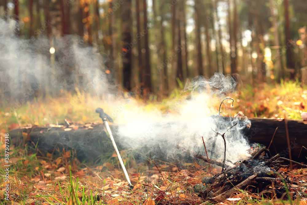 autumn view picnic bonfire, landscape in the forest campfire barbecue tourism autumn view picnic bonfire, landscape in the forest campfire barbecue tourism