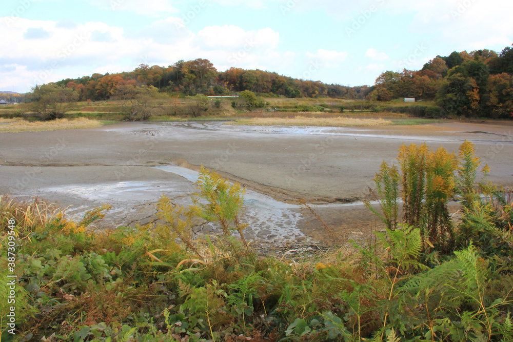 干潟の池 干潟の池