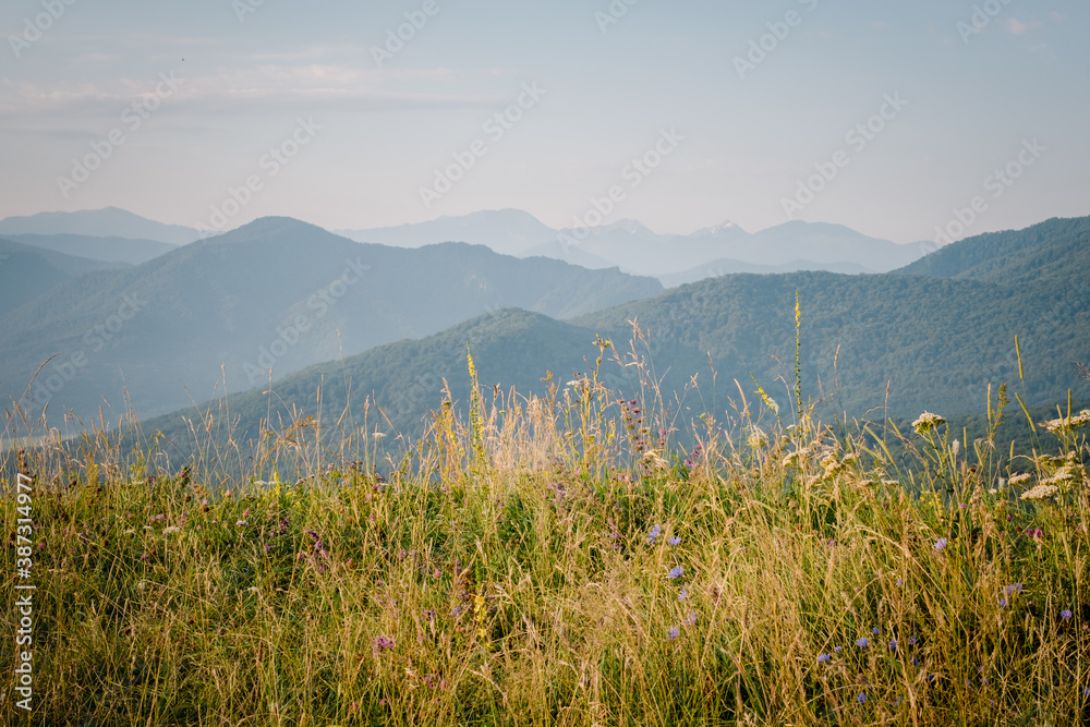 Fototapeta premium Early morning just after sunrise. Silhouettes of mountains in the morning haze, grass and wildflowers in the foreground. Alpine summer landscape. Lagonaki Plateau, Republic of Adygea, Russia