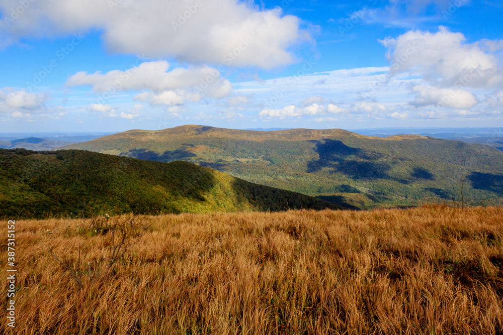 Bieszczady