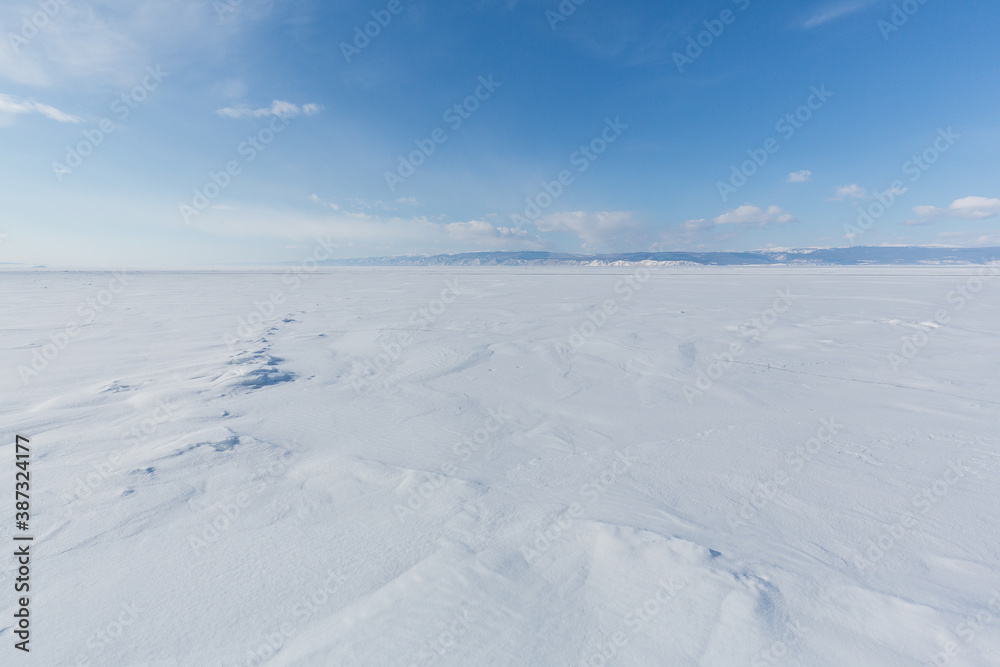 snow covered trees