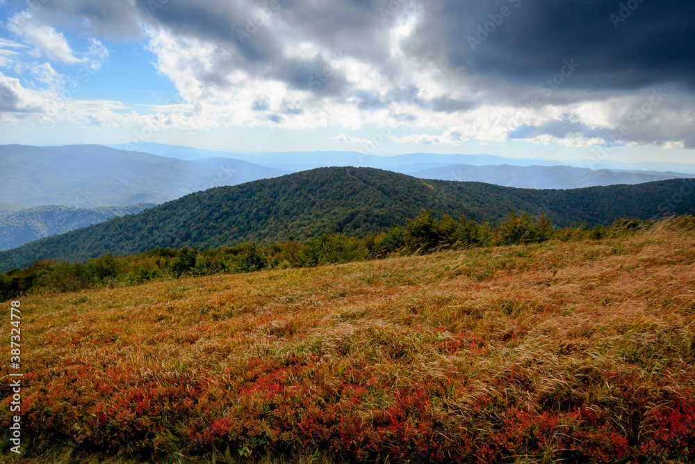 Bieszczady