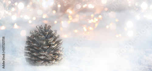 pine cones on snow