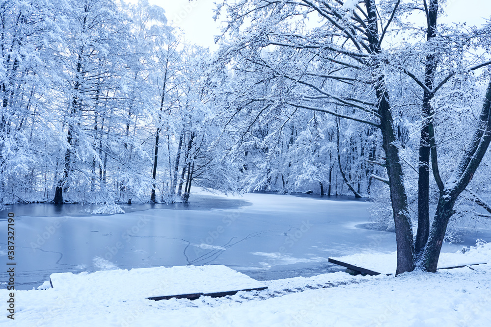 Fototapeta premium beautiful winter park with snow