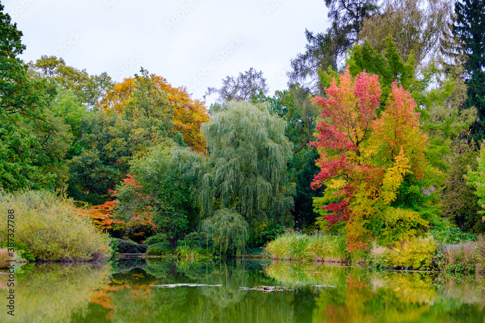 Herbststimmung