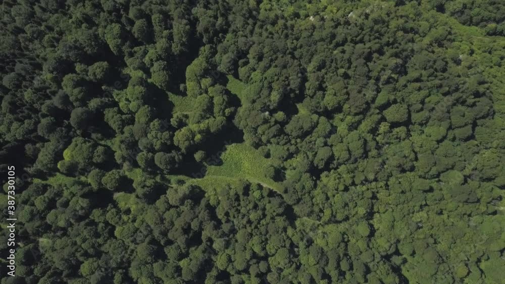 Aerial view of treetop pattern from drone flying above green woodland in summer. Aerial view of treetop pattern from drone flying above green woodland in summer.