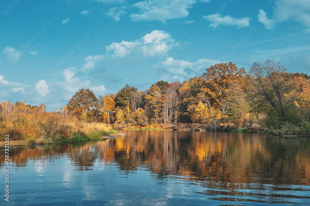 Trees on the banks of a beautiful autumn river. Trees on the banks of a beautiful autumn river.