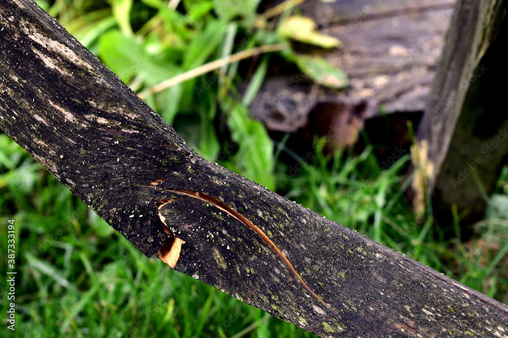 Fototapeta premium broken wooden board on grass background
