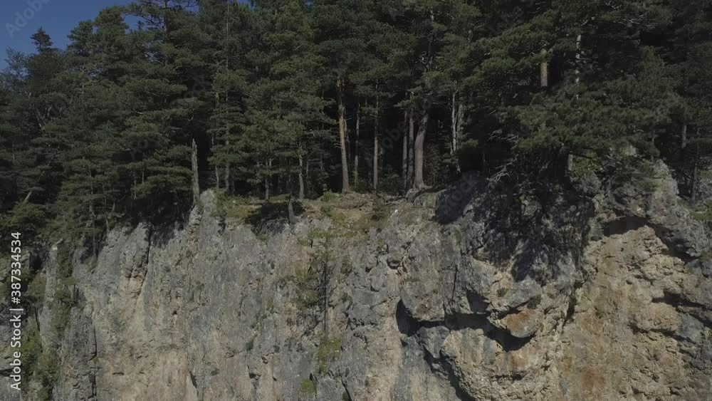 Drone flies near mixed deep forest with high firsor spruce. Beautiful summer landscape with valleys, trees crowns, mountain range Drone flies near mixed deep forest with high firsor spruce. Beautiful summer landscape with valleys, trees crowns, mountain range