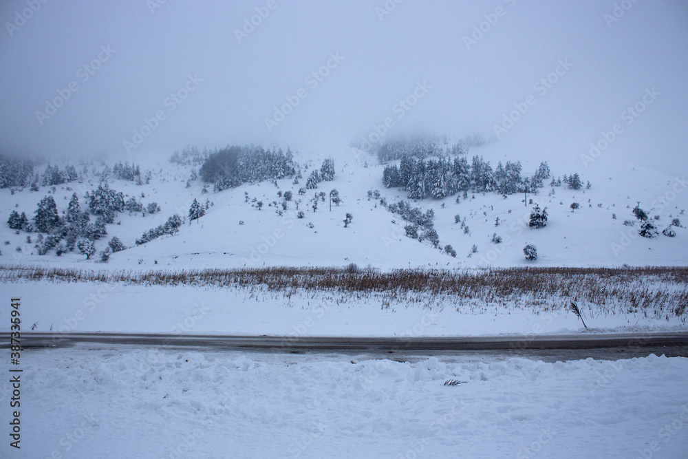 landscape with snow covered trees landscape with snow covered trees