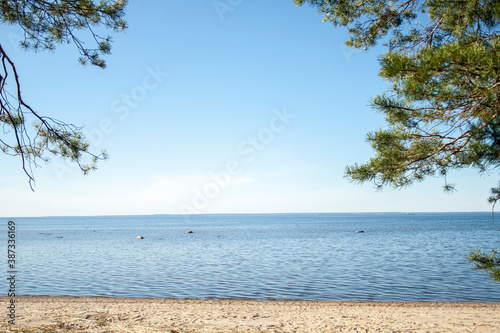 Fototapeta Naklejka Na Ścianę i Meble -  beach and tree