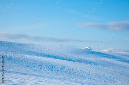 雪の丘