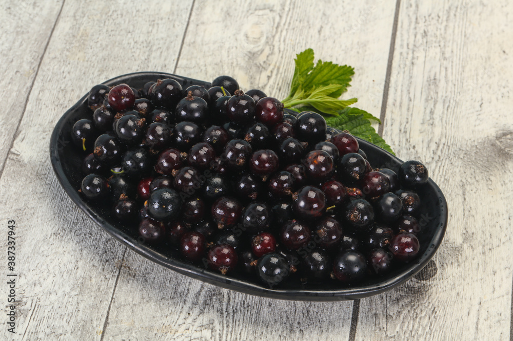 Fresh ripe sweet black currant Fresh ripe sweet black currant