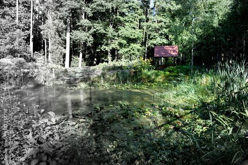 Wallpaper Mural View of a small wooden hut or shack located in the middle of a dense forest or moor and in a close proximity to a swamp or lake seen on a sunny summer day on a Polish countryside Torontodigital.ca
