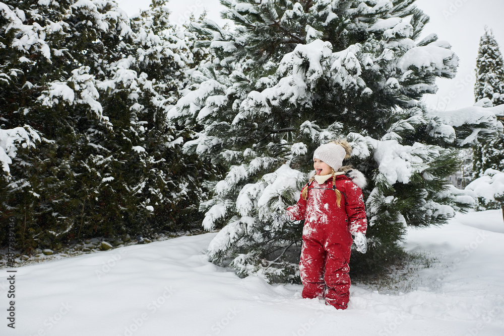 portrait of a beautiful caucasian child on a background of snow-covered Christmas trees