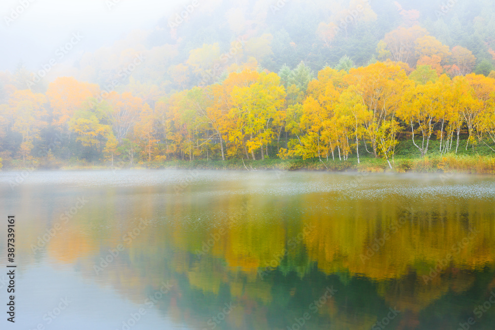 autumn landscape with fog and lake autumn landscape with fog and lake