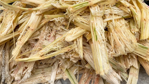 Bagasse that has been squeezed sugarcane. bagasse (waste product fibers left after the juice has been squeezed from sugar cane) photo