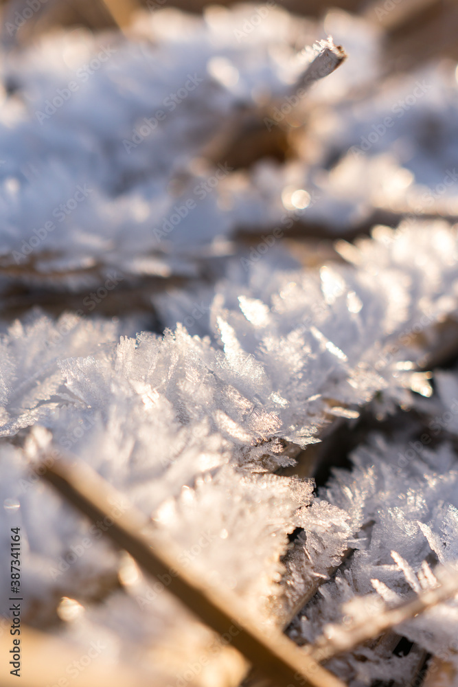 Beautiful ice flakes and hoarfrost flakes