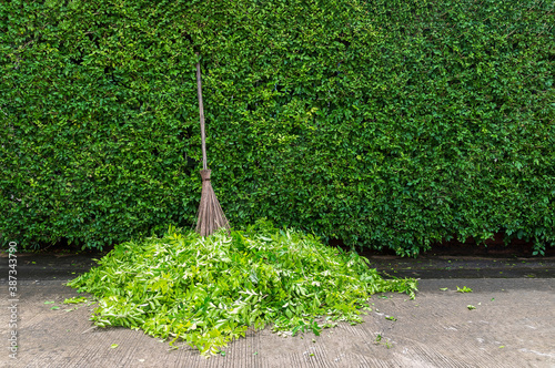 
Hard broom Place it under the tree after trimming is complete