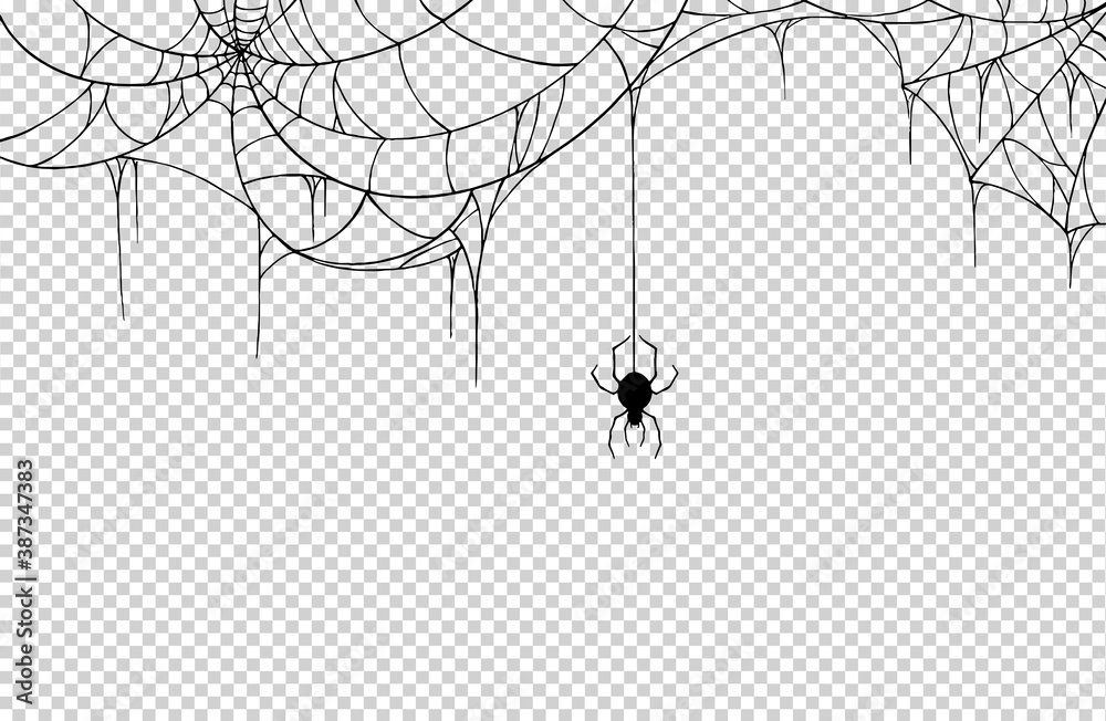 Spider Wire Logo PNG Vector (AI) Free Download