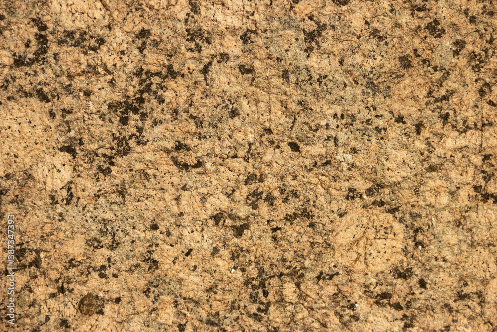 The texture of a variegated speckled polished marble slab. The texture of a variegated speckled polished marble slab.