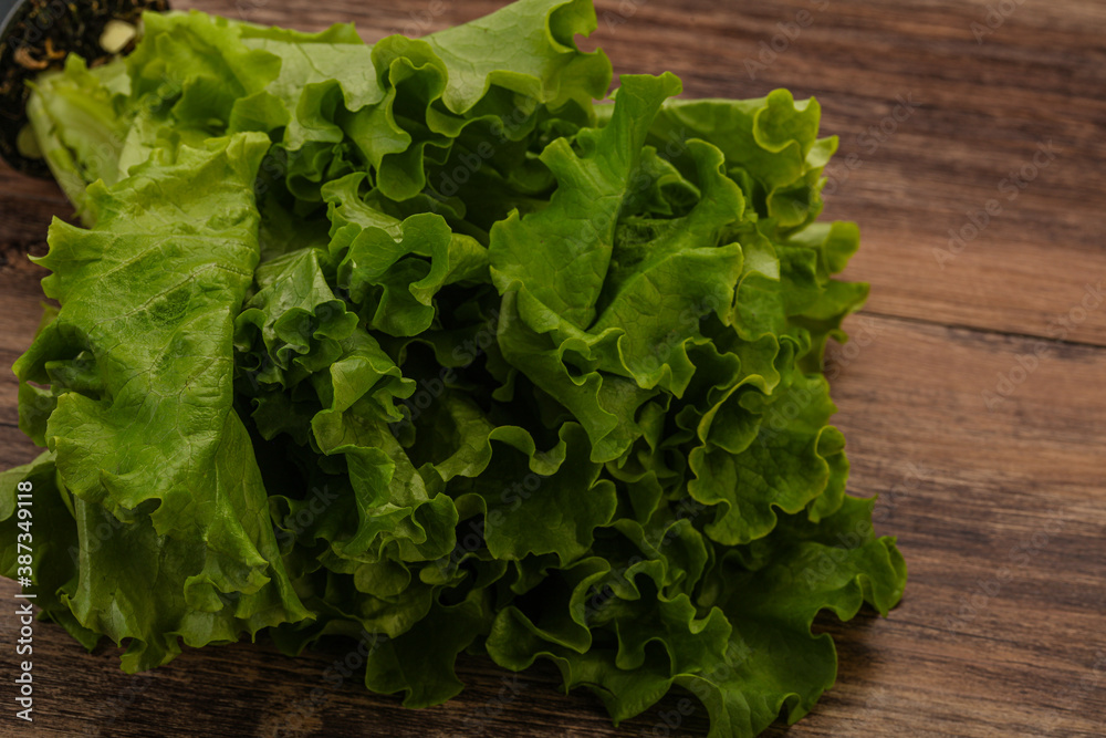 Green lettuce salad heap leaves Green lettuce salad heap leaves