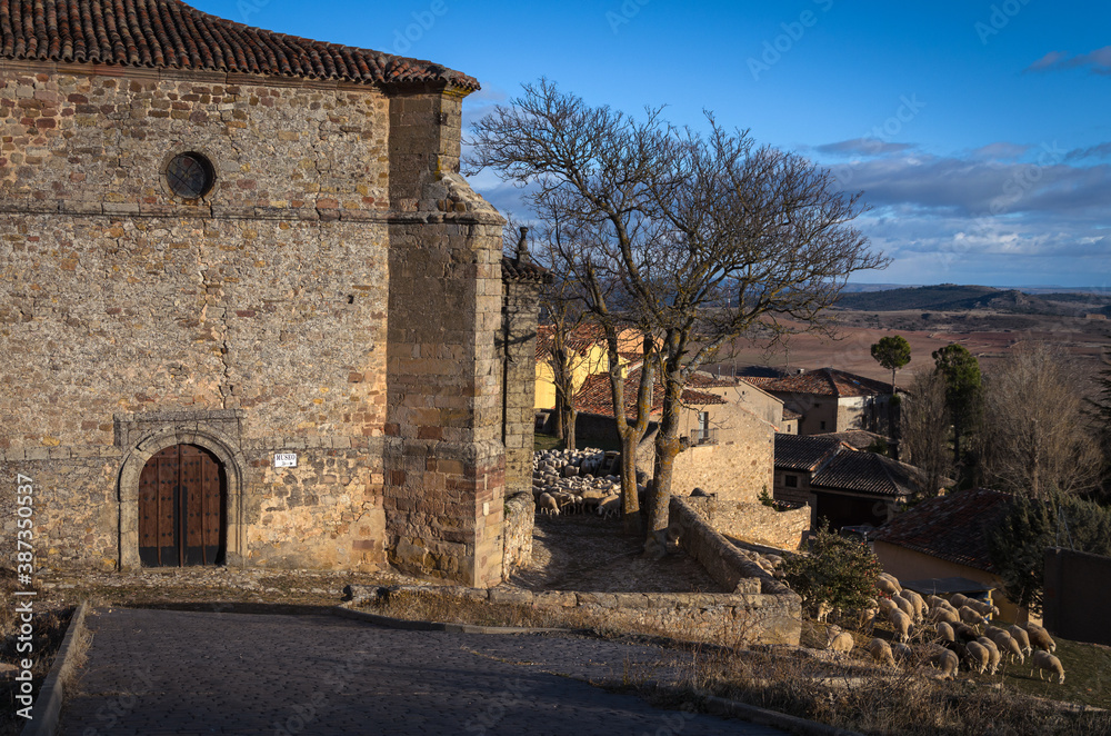 A flock of sheep grazing next to the Church of the Holy Trinity, Atienza, Guadalajara, Spain