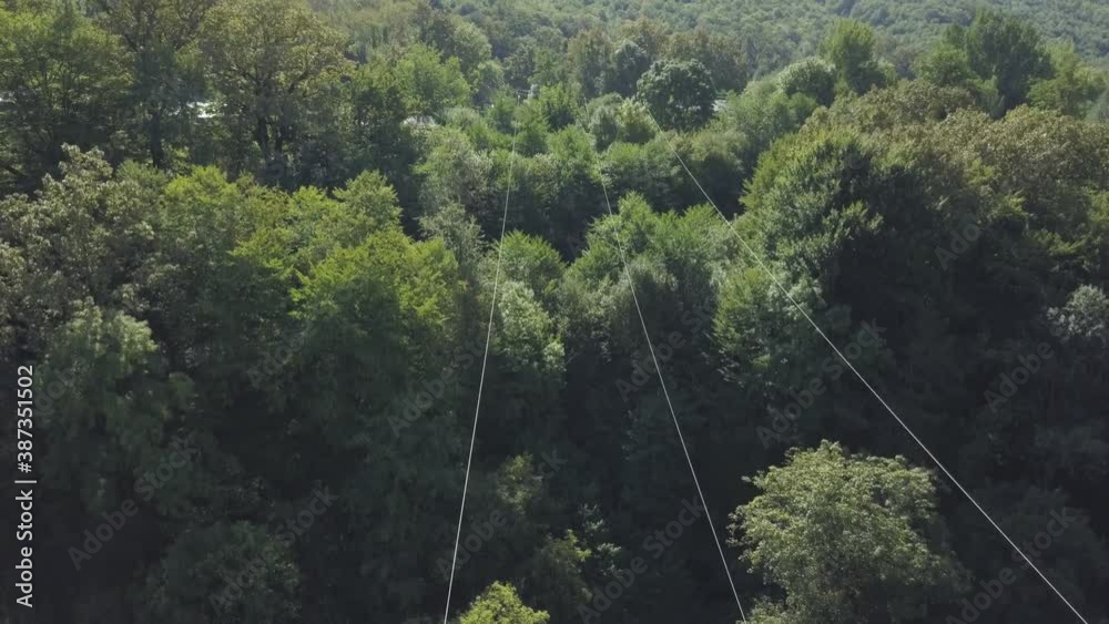 Power lines to forest village. Aerial view from copter Power lines to forest village. Aerial view from copter