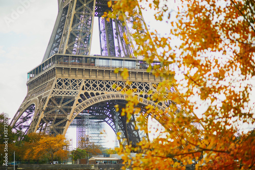 Scenic view of the Eiffel tower with yellow autumn leaves