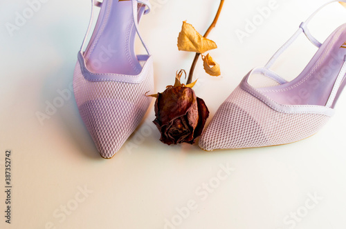 Zapatos de tacón con tira trasera y puntera en punta, de color lila, acompañados de una rosa seca, en fondo blanco. photo