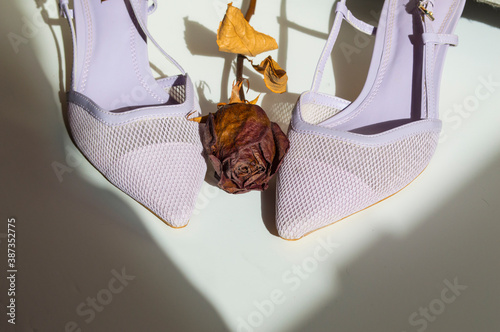 Zapatos de tacón con tira trasera y puntera en punta, de color lila, acompañados de una rosa seca, en fondo blanco. photo