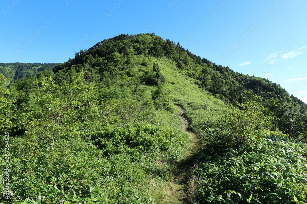 日本百名山”四阿山”の山頂へと続く尾根道