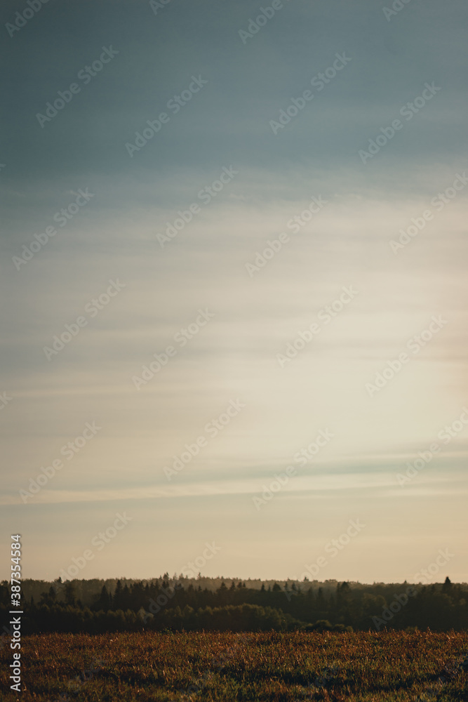 Natural landscape: early morning in a field overlooking the valley.