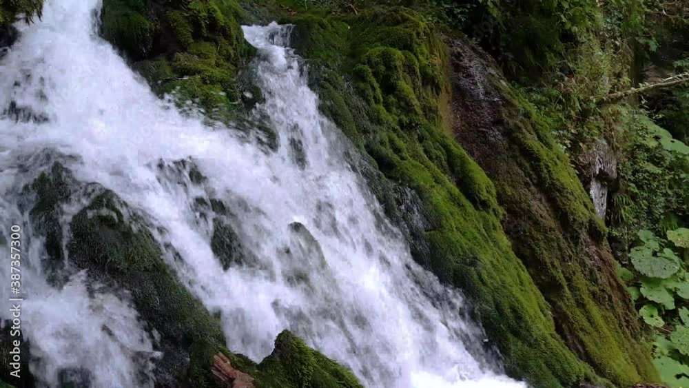 Wild nature waterfall in deep forest. Waterfall Isichenko. Boxwood forest. Mezmay village Wild nature waterfall in deep forest. Waterfall Isichenko. Boxwood forest. Mezmay village