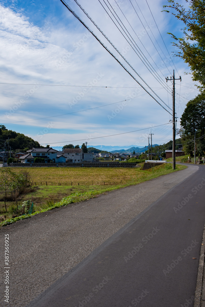 scenery of a village with a road and field