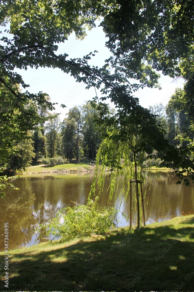 Naklejka premium A pond in the park