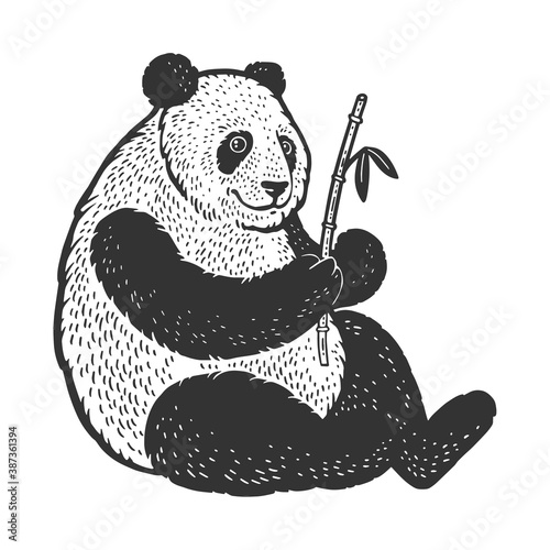 Panda bear sketch engraving vector illustration. T-shirt apparel print design. Scratch board imitation. Black and white hand drawn image.