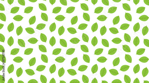 Green tea vector. Green tea pattern wallpaper.