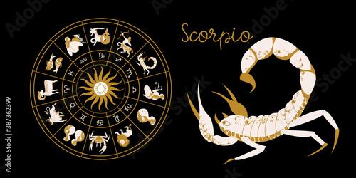 Zodiac sign Scorpio. Horoscope and astrology. Full horoscope in the circle. Horoscope wheel zodiac with twelve signs vector.