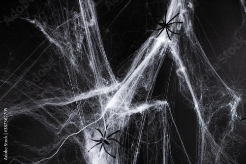 halloween, decoration and horror concept - Decoration of artificial spider web over black background with spiders