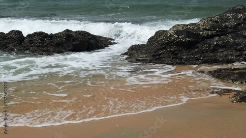 Slow motion footage of tropical sandy beach under bright sunny day