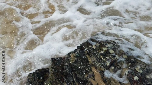 Slow motion footage of tropical sandy beach under bright sunny day