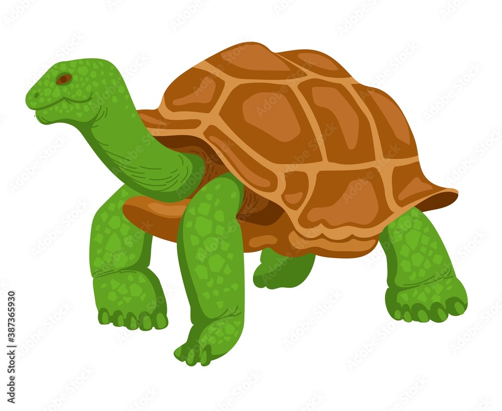 Obraz premium Giant turtle, reptile, wild animal. Illustration isolated on white background. Hand-drawn turtle in flat style.