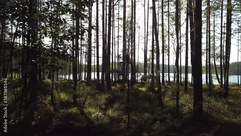 Wonderful landscape of Rogovo lake Wonderful landscape of Rogovo lake