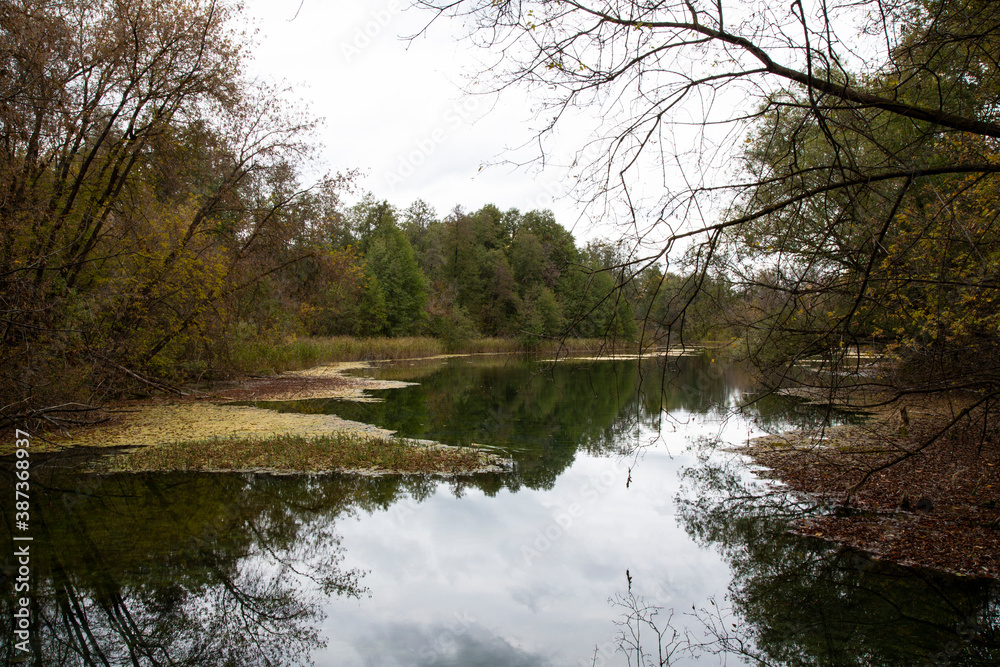 The shore of the lake in the autumn forest. Autumn The shore of the lake in the autumn forest. Autumn
