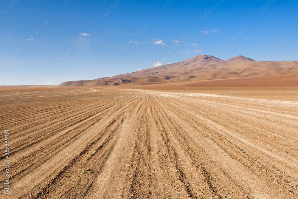 Wheel tracks, Altiplano, Potosi, Bolivia